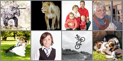 Eine Collage von acht verschiedenen Fotografien, die die Vielfalt des Portfolios von Michael Schalansky zeigen. Dargestellt sind: ein Paintballspieler in Action, ein stehender Löwe vor schwarzem Hintergrund, ein Familienporträt, eine Handwerkerin bei der Arbeit, ein Brautpaar auf einer Bank im Grünen, ein Junge im Anzug vor weißem Hintergrund, ein BMX-Fahrer bei einem Sprung und zwei Beagle-Welpen beim Schlafen im Gras. Dies demonstriert die Bandbreite der Fotodienstleistungen von Michael Schalansky.